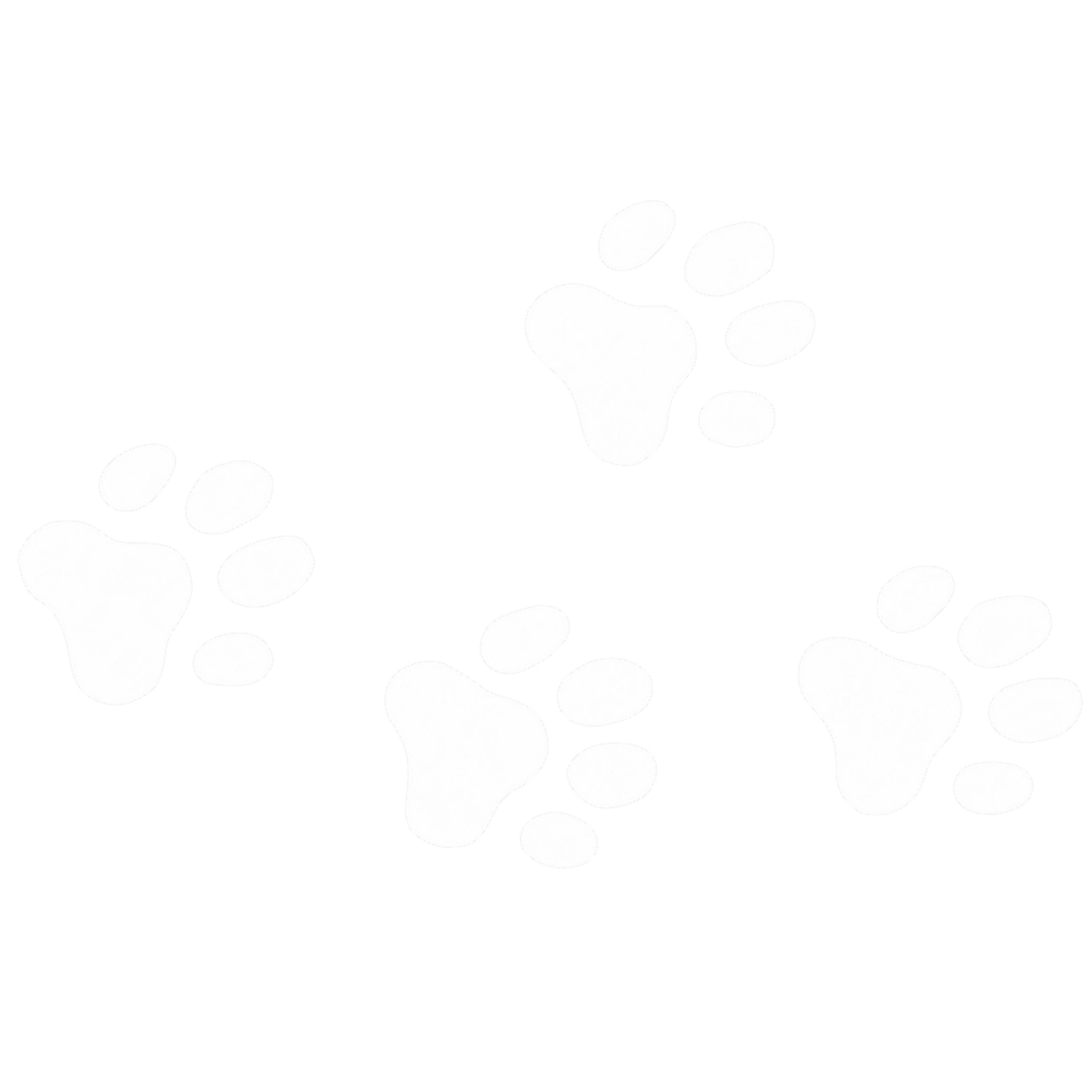 Paw