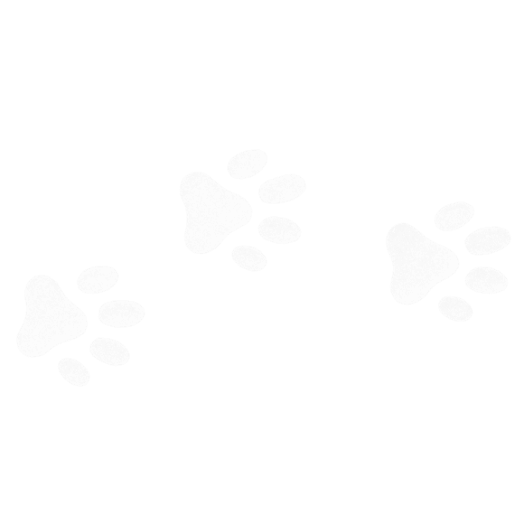 Paw