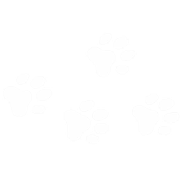 Paw
